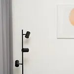 Air 115 * Vilnius