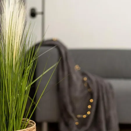 Air 115 Appartement Vilnius