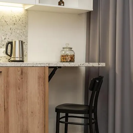 Air 115 公寓 维尔纽斯